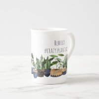 Planta y cactus de Lady Pot