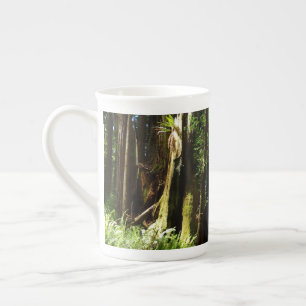Taza De Porcelana Secuoyas y ferris en el Parque Nacional Redwood