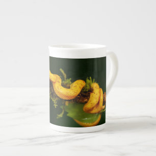 Taza De Porcelana Serpiente de veneno de Costa Rica