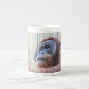 Taza De Porcelana Sitting Orang Utan