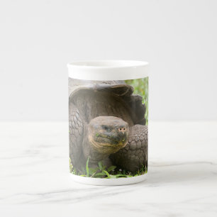 Taza De Porcelana Tortuga gigante