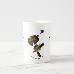 Taza De Porcelana Vintage John Audubon Stanley Hawk