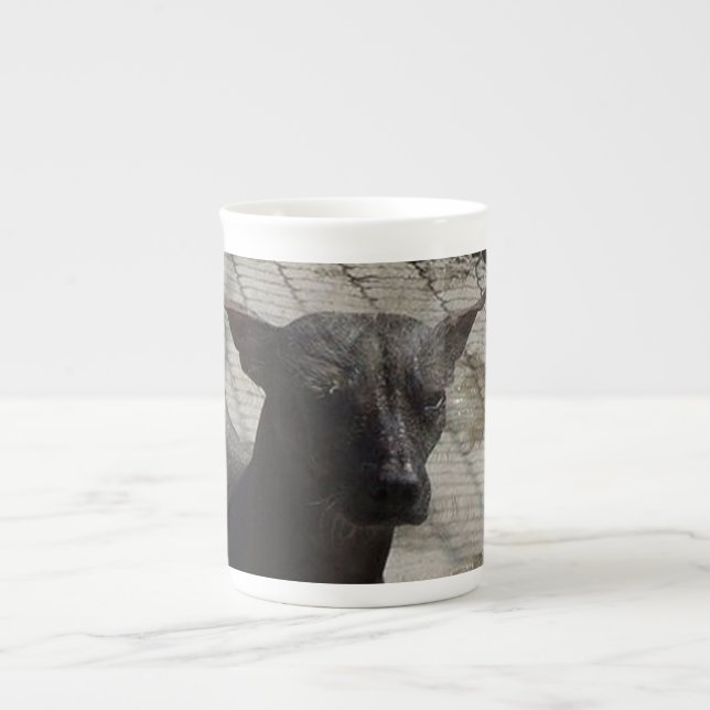 Taza De Porcelana xolo.png (Frente)