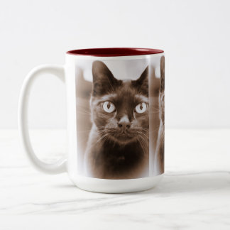 Taza de Pywacket Potrait I