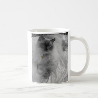 Taza de Ragdoll