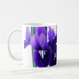 Taza de Reticulata del iris