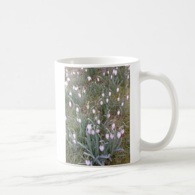Taza de Snowdrops (Derecha)
