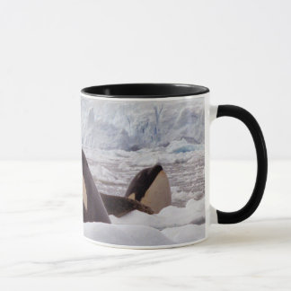 Taza de Spyhopping de las orcas