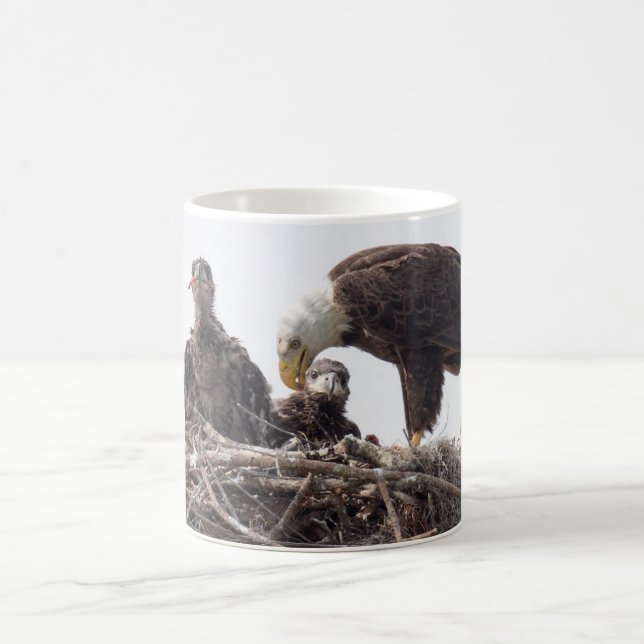 Taza de SWFL EagleCam M15 E7 E8 (Centro)