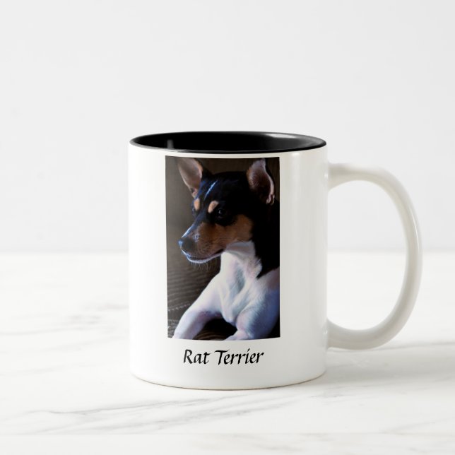 Taza de Terrier de rata 2 (Derecha)