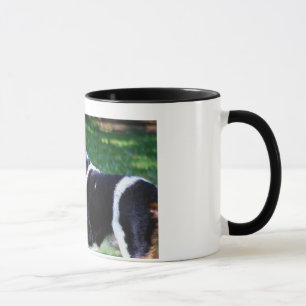 Taza de Toby