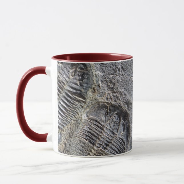 Taza de Trilobite (Izquierda)