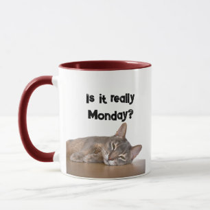 Taza ¿De Verdad Es Lunes? Gracioso meme de gato abysini
