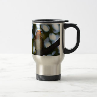 Taza De Viaje 7.º burra