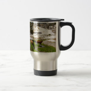 Taza De Viaje Alces en Mammoth Hot Springs