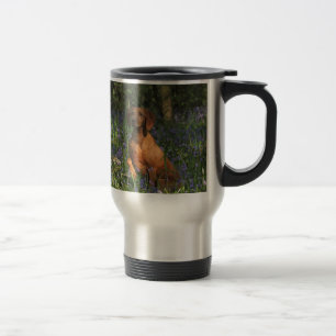 Taza De Viaje Ambarino
