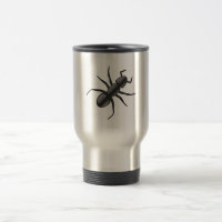 Ant