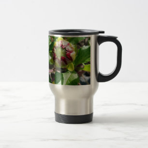 Taza De Viaje brote en otoño