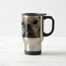 Bulldog inglés