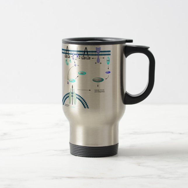 Taza De Viaje Camino de GPCR (Derecha)