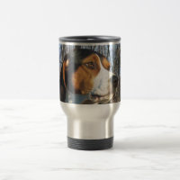 Coonhound del caminante de Treeing en maderas