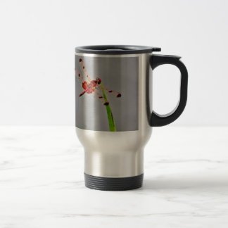 TAZA DE VIAJE DSC00029.JPG