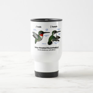 Taza De Viaje Estadísticas de colibríes con trompeta de rubí