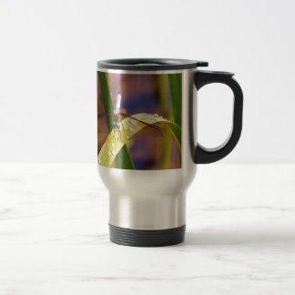 Taza De Viaje Flora de dragón en hojas de roca de lluvia