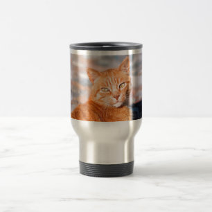 Taza De Viaje Gato rojo retrato