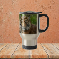 Gran gato Sumatran Tigre