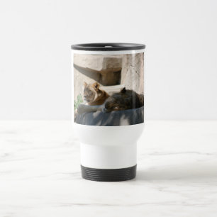 Taza De Viaje Leones africanos