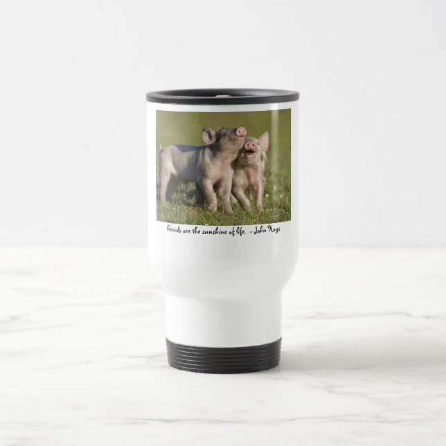 Taza De Viaje Los amigos son la sol de la vida… (Centro)