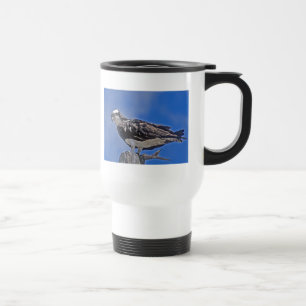 Taza De Viaje Pájaro de Osprey