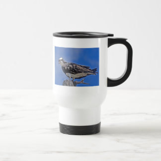 Taza De Viaje Pájaro de Osprey