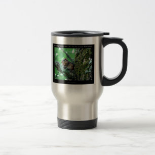 Taza De Viaje Regalos de Snack de Ardilla de Hot Springs Nationa
