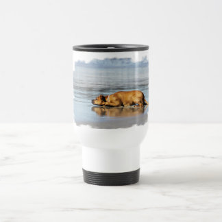 Taza De Viaje ¿Rhodesian Ridgeback - es el agua fría?