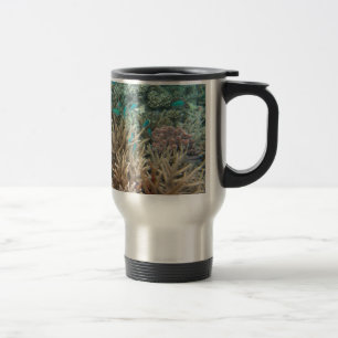 Taza De Viaje Subacuática