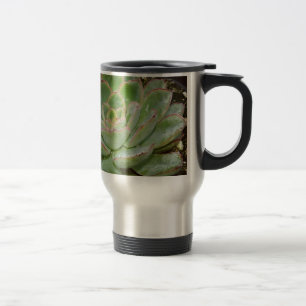 Taza De Viaje Suculentos