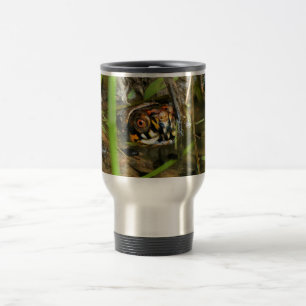 Taza De Viaje Tortuga de caja y tadpoles