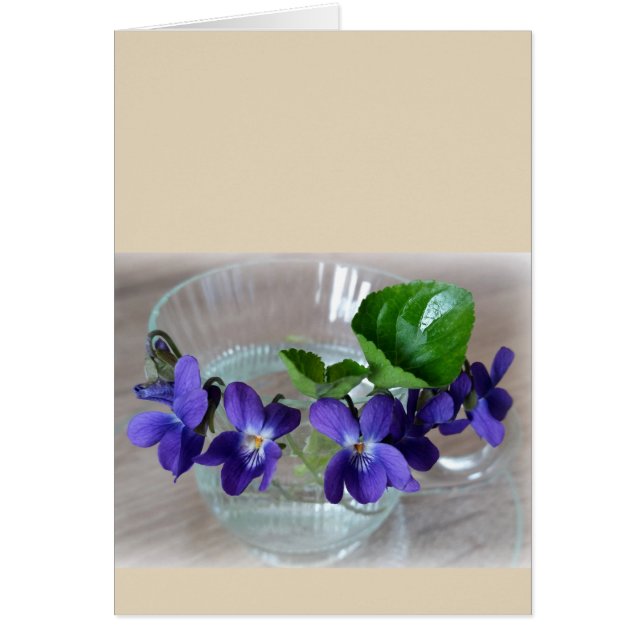 taza de violeta (Frente)