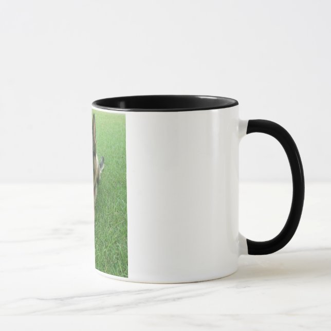 Taza de Warwick (Derecha)