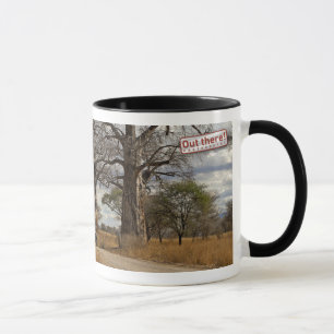 Taza Debajo de los baobabs gigantes