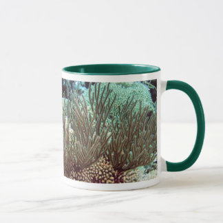 Taza Debajo del mar
