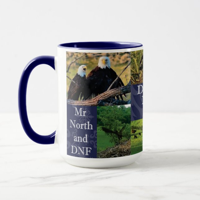 Taza Decorah North Nest 2020 Mug (Izquierda)