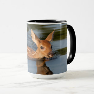 Taza Deer Fawn Minnesota