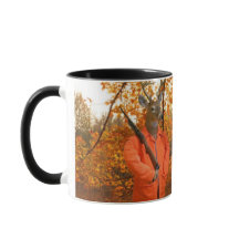 Deer Hunter En Woods