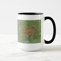 Deer Young Bucks D6 de cola blanca