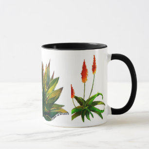 Taza del agavo y de café del áloe