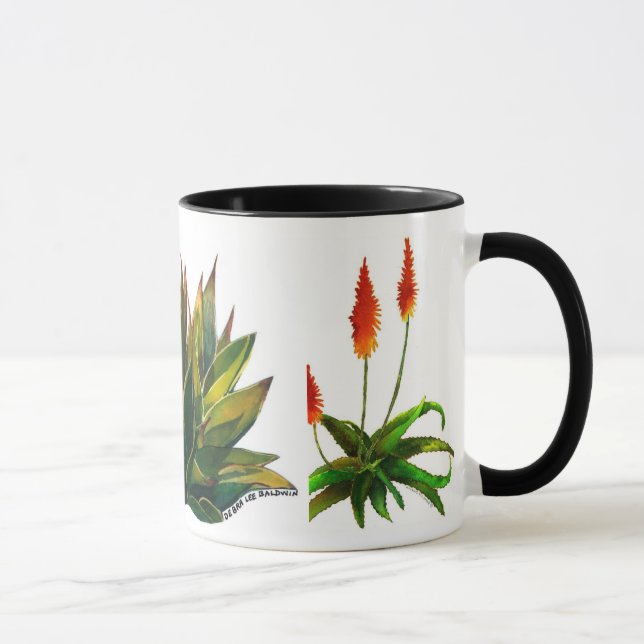 Taza del agavo y de café del áloe (Derecha)