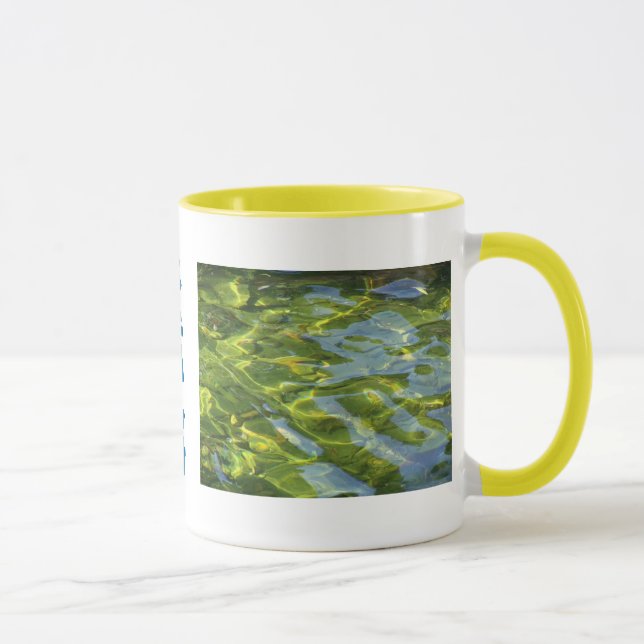 Taza del agua - modificada para requisitos (Derecha)